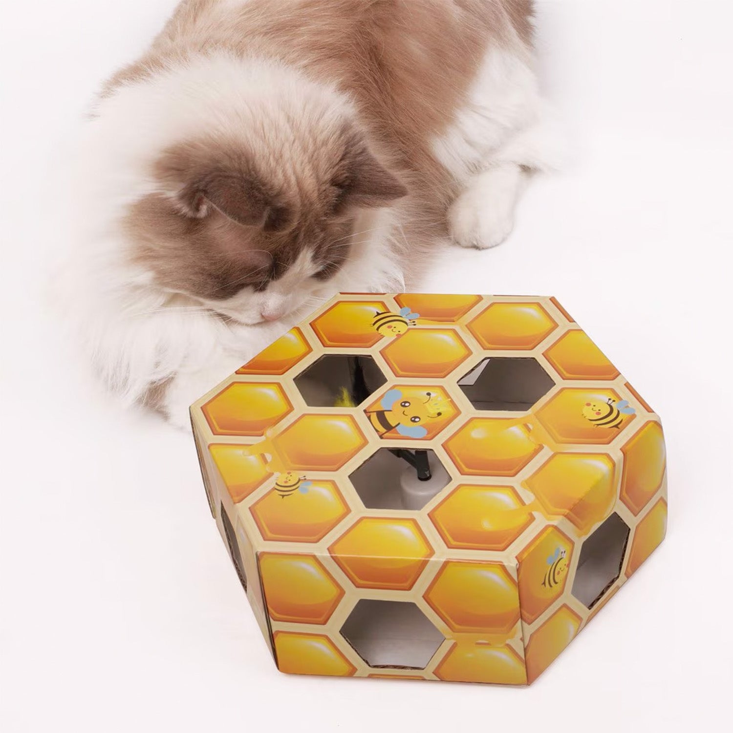 Cat Toy Surprise Box – 9 Interactive Cat Toys in One Fun Set | all for paws
