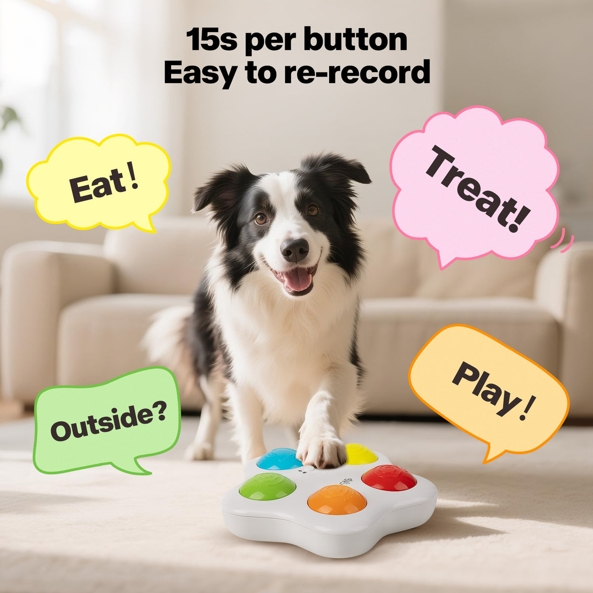 Interactive -Dog Toy - Pet Brain Trainning buttons
