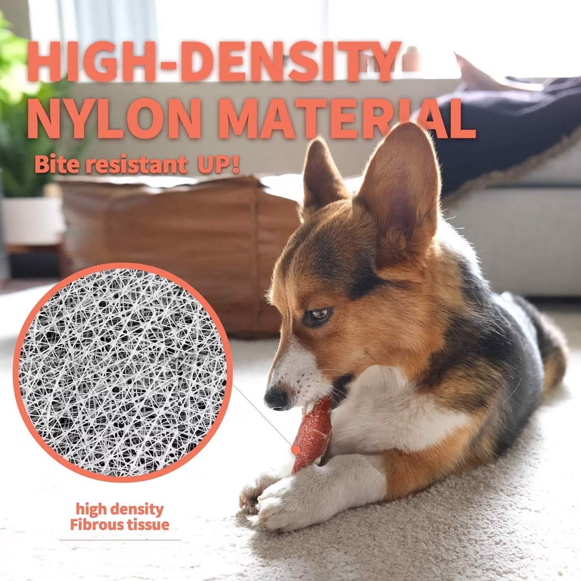 BONE APPETIT - Dog Toys - Super Nylon Bone - Beef Flavor Infused
