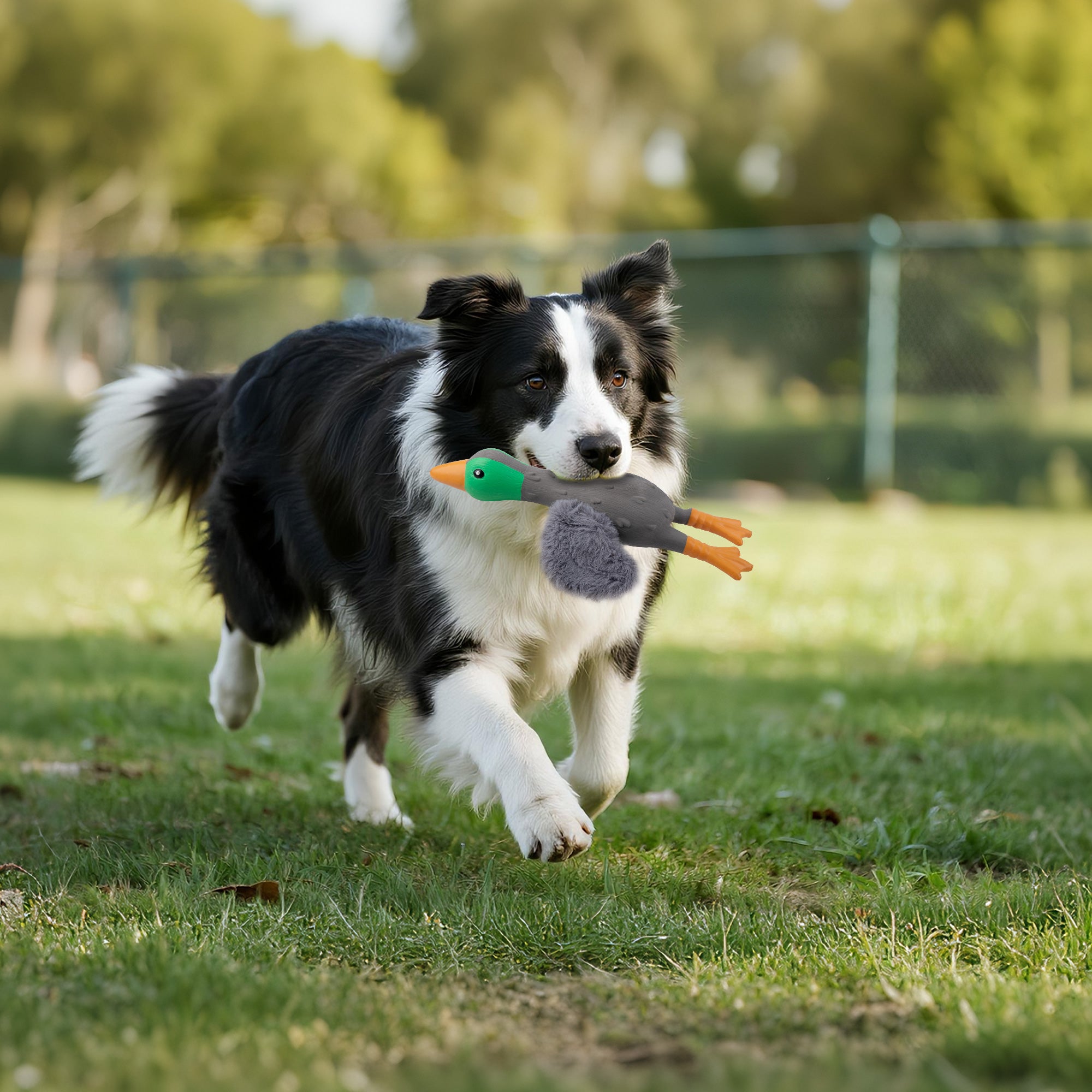 ZooTex Squeaky Latex Dog Toys - Soft Wing Mallard