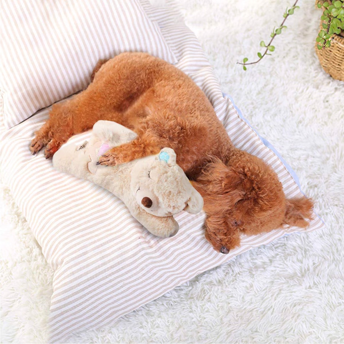 Little Buddy - Puppy Soothing Heartbeat Warm Bear Comfort Dog Sleep Aid Plush Toy