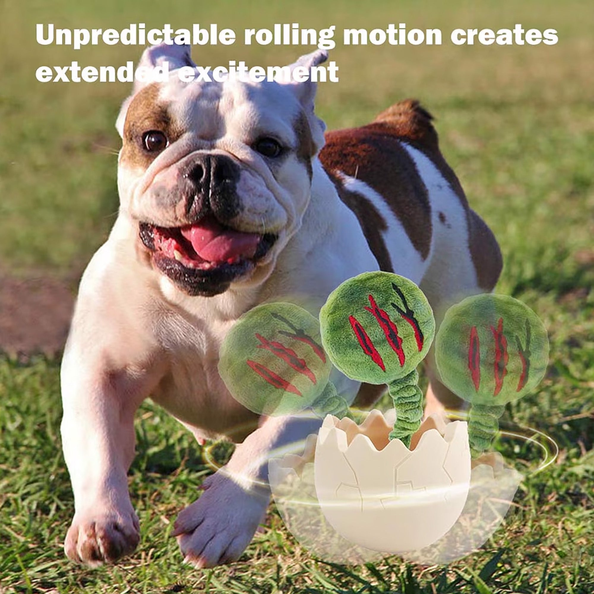 Allforpaws My T-Rex Active Claw Dino Dog Chew Toy, Multicolor, 3.1 x 3.1 x 4-in