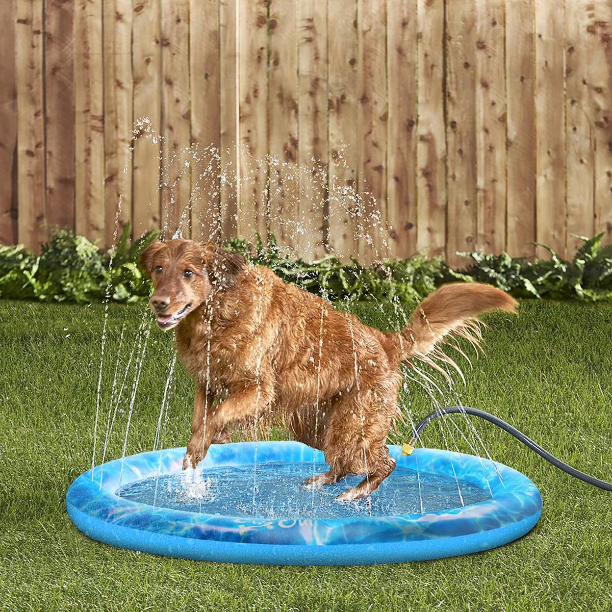 Chill Out - Sprinkler Fun Mat Cool Down Play Mat for Pets