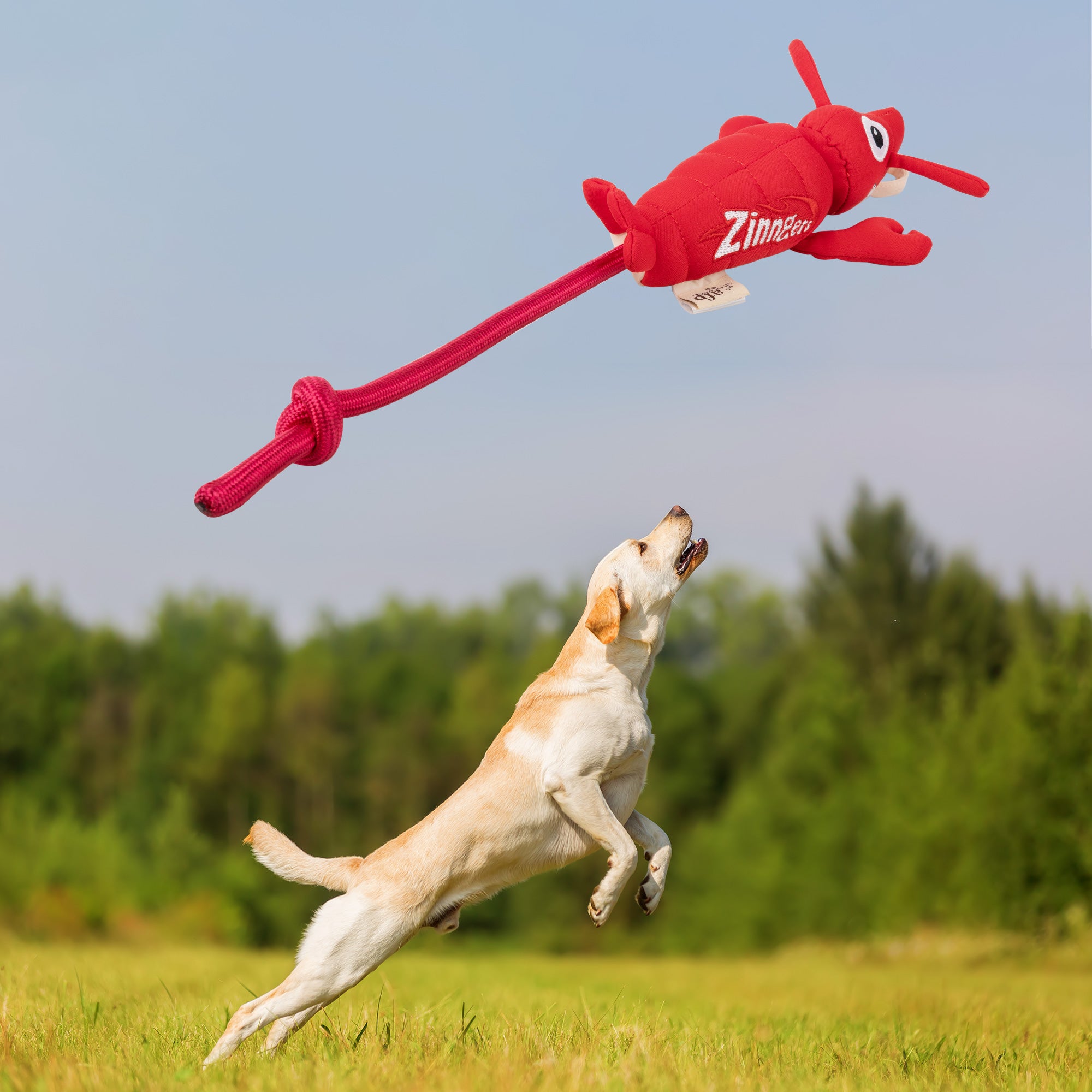 Chill Out - Dog fetch toy - Flying Lobster