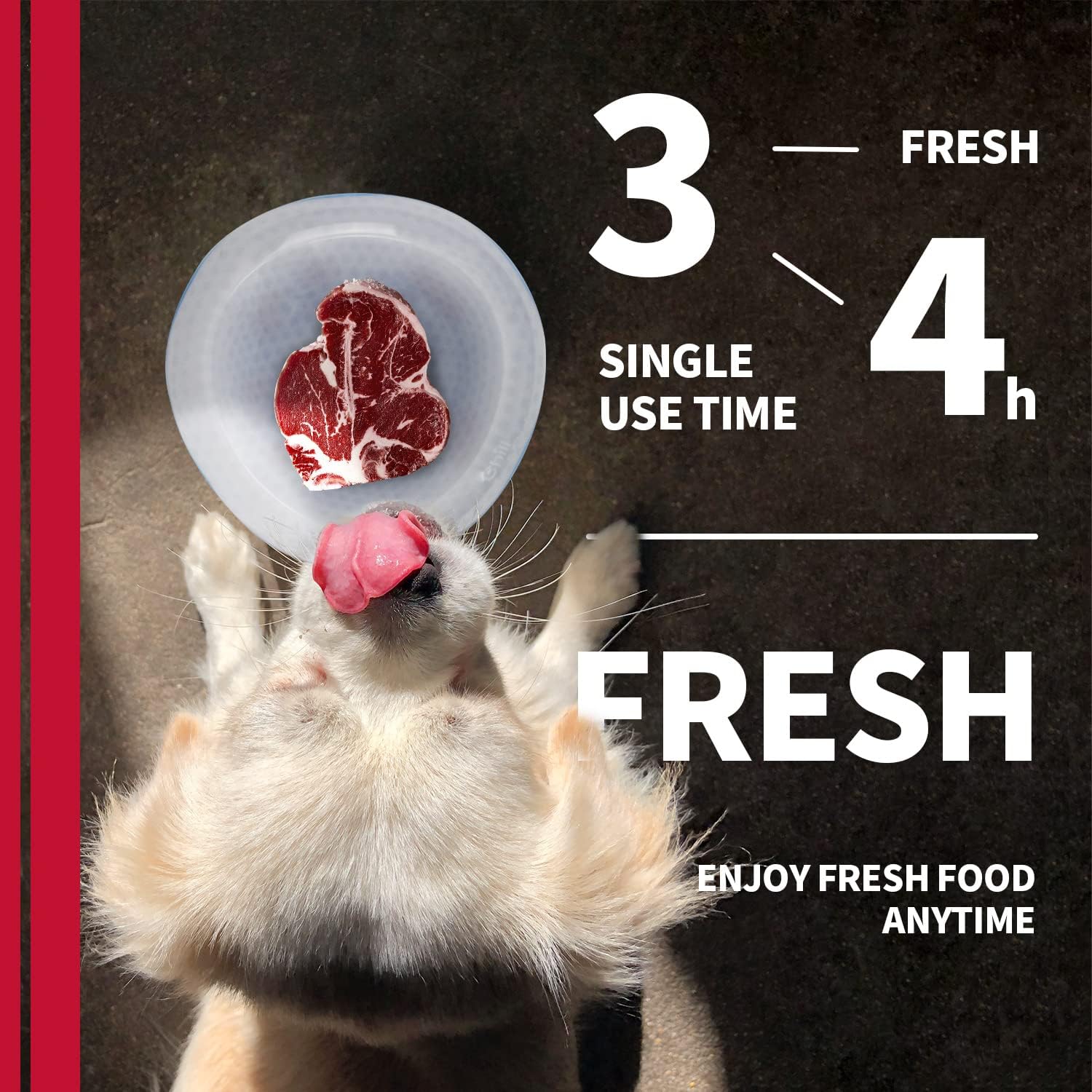 Chill Out - Dog Cooler Bowl - Pet Cooler Bowl Keeps Water Cool and Fresh for Hours