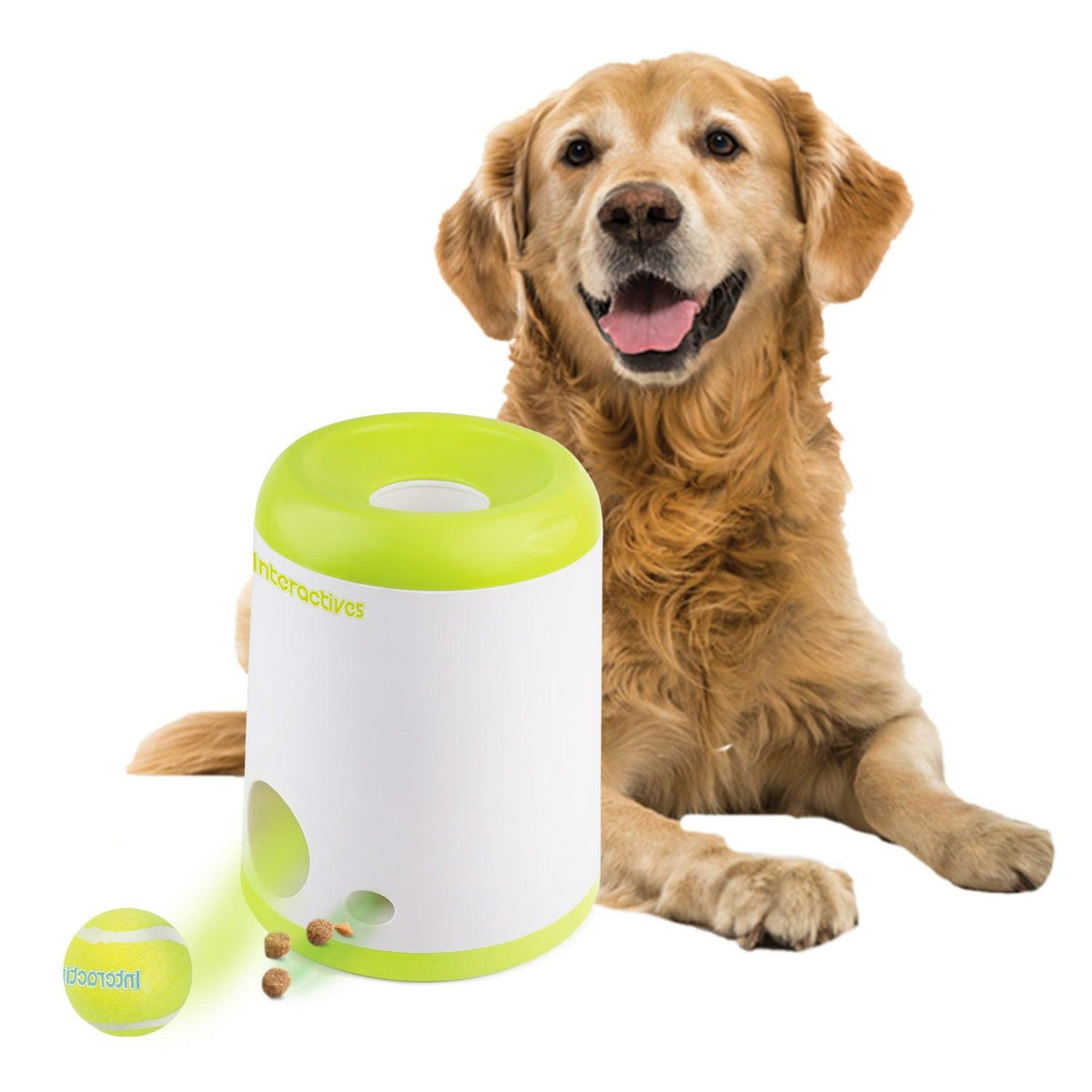 AFP-Allforpaws Interactive Fetch-N-Treat Dog Toy