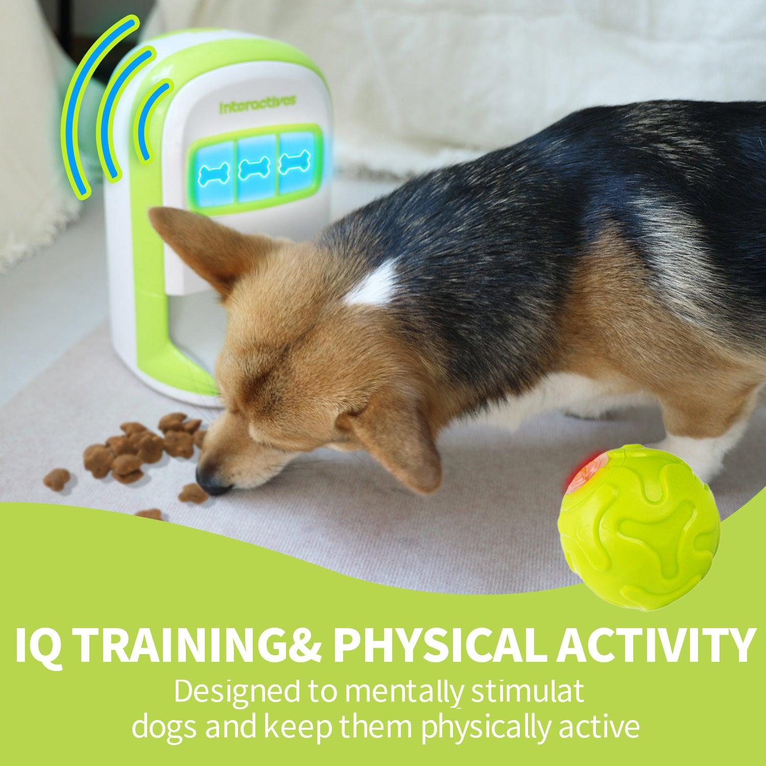 All For Paws🐾 Lucky Treat Automatic Dog Feeder with Rolling Ball - All for Paws Pet 