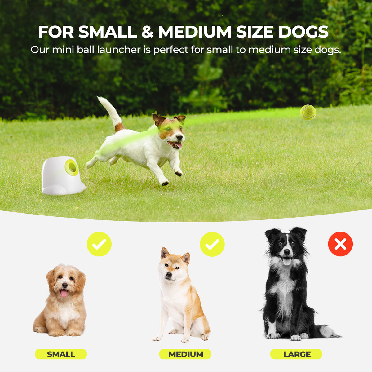 AFP-Allforpaws Mini Hyper Fetch Automatic Ball Launcher for Small Dogs 